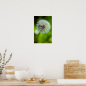 Paardenbloemplakaat Poster (Keuken)