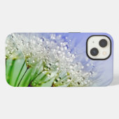 Paardenbloempluizen met dauwdruppels iPhone hoesje (Achterkant horizontaal)
