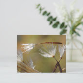 Paardenbloemzaden nemen een vriend mee, Betuiging  Briefkaart (Staand voorkant)