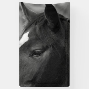 Paardenbnrcn Spandoek