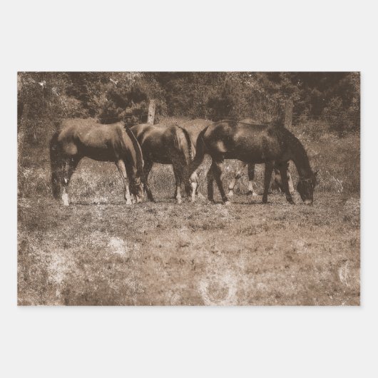 PaardenBoerderij  land Rustic Sepia Western Inpakpapier Vel (Voorkant 3)