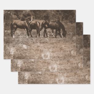 PaardenBoerderij land Rustic Sepia Western Inpakpapier Vel