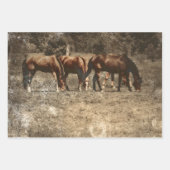 PaardenBoerderij Land Rustisch Western Inpakpapier Vel (Voorkant 3)