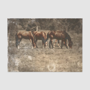 PaardenBoerderij Land Rustisch Western Tissuepapier