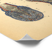 Paardenboetanatomie 1908 afdrukken poster (Hoek)