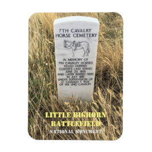 Paardenboksemmer, Little Bighorn Battlefield Po Magneet