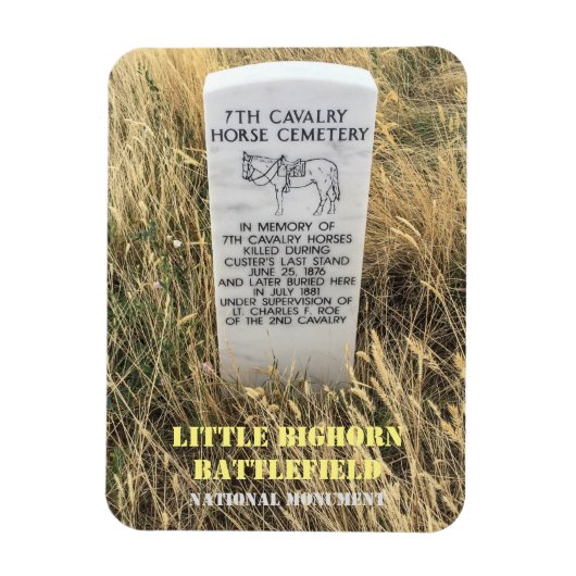 Paardenboksemmer, Little Bighorn Battlefield Po Magneet (Verticaal)