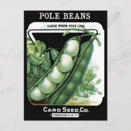 Paardenbonen  zaadpakket Lima Garden Veggies Briefkaart