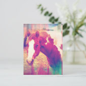 Paardenboomgaard Briefkaart (Staand voorkant)