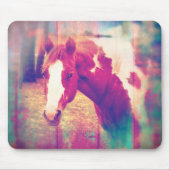 Paardenboomgaard Muismat (Voorkant)