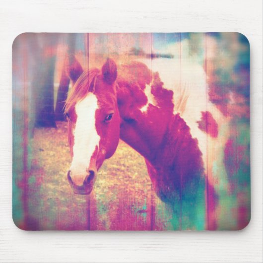 Paardenboomgaard Muismat (Voorkant)