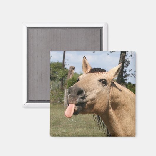 paardenbraam magneet (Voorkant / Achterkant)