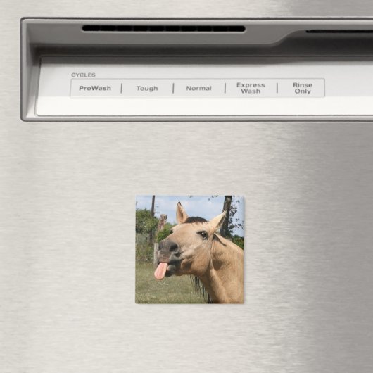 paardenbraam magneet (Insitu (Vaatwasser))