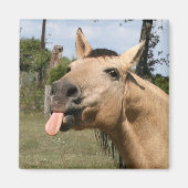 paardenbraam magneet (Voorkant)