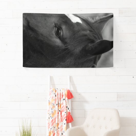 Paardenbracna Spandoek (Insitu)