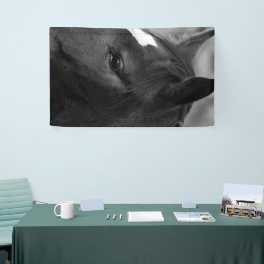 Paardenbracna Spandoek (Beurs)