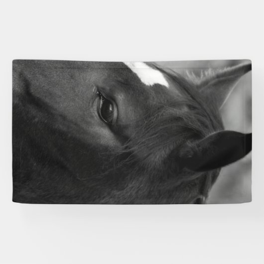 Paardenbracna Spandoek (Horizontaal)