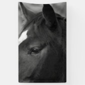 Paardenbracna Spandoek (Verticaal)