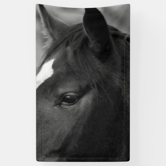 Paardenbracna Spandoek (Verticaal)