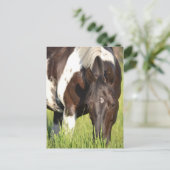 Paardenbriefkaart Briefkaart (Staand voorkant)