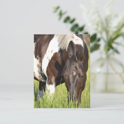 Paardenbriefkaart Briefkaart (Staand voorkant)