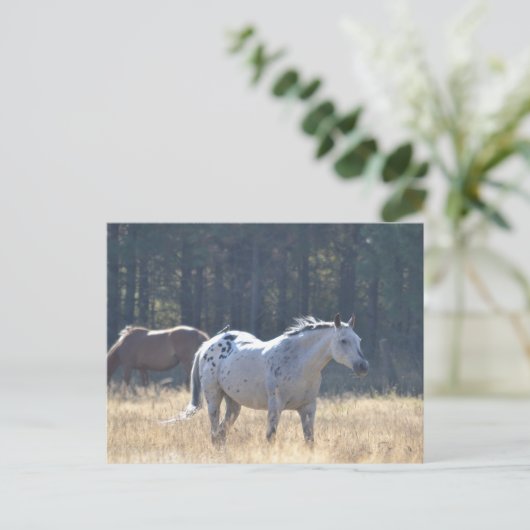 Paardenbriefkaart Briefkaart (Staand voorkant)