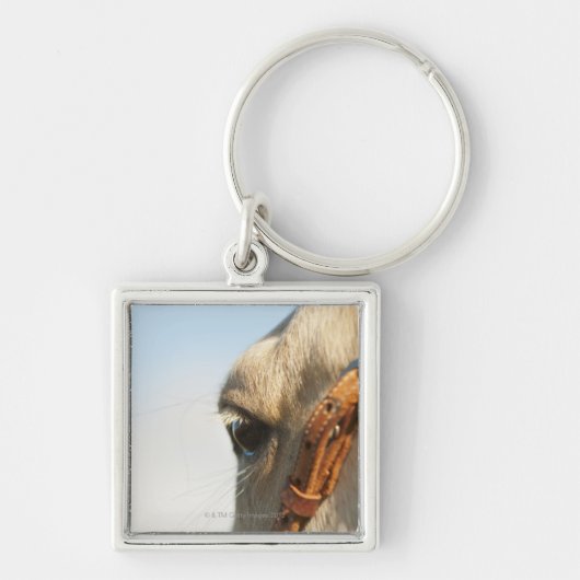 Paardenbril Sleutelhanger (Voorkant)