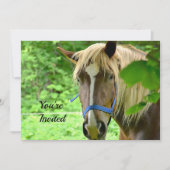 Paardenbruin Belgisch Ontwerp Foto van Birthday Kaart (Voorkant)