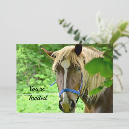 Paardenbruin Belgisch Ontwerp Foto van Birthday Kaart (Staand voorkant)