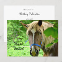 Paardenbruin Belgisch Ontwerp Foto van Birthday