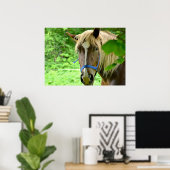 Paardenbruin Belgische ontwerpfoto Poster (Thuiskantoor)