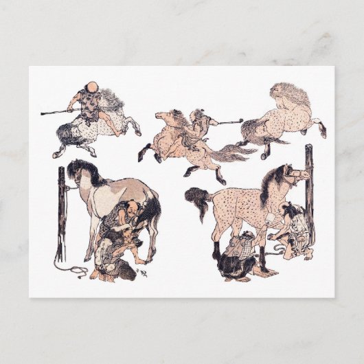 PaardenBruin Briefkaart (Voorkant)