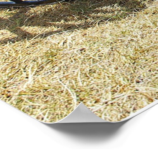 Paardenbuggy van Doctor Poster (Hoek)