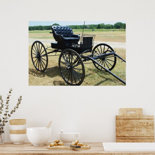 Paardenbuggy van Doctor Poster (Keuken)