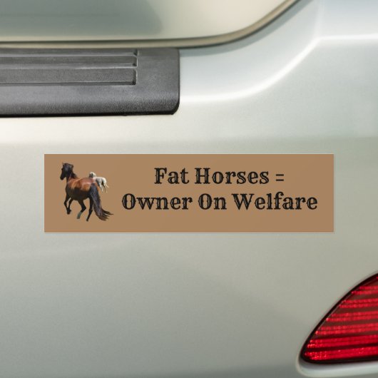 PaardenBumpersticker Bumpersticker (Op auto)