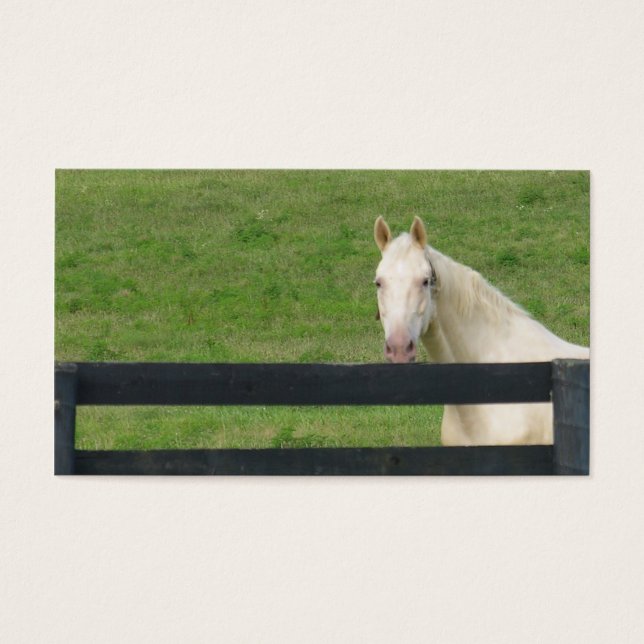 Paardenbuskaart Visitekaartje (Voorkant)