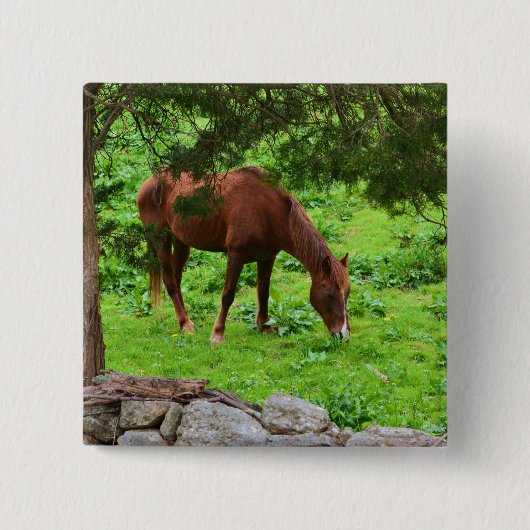 PaardenButton Vierkante Button 5,1 Cm (Voorkant)