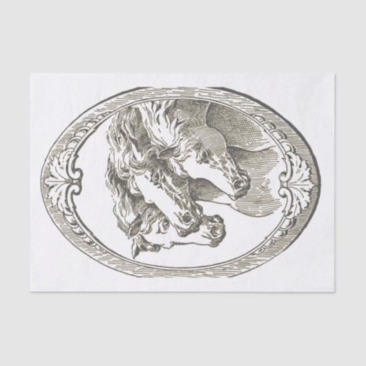 Paardencamee Tissuepapier (Voorkant)