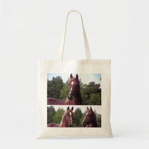 PaardenCanvas tas