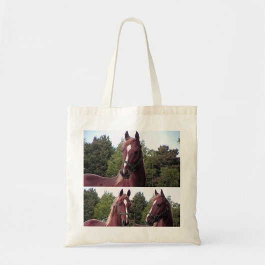 PaardenCanvas tas (Voorkant)
