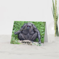 Paardenchimpansee met zonnebril