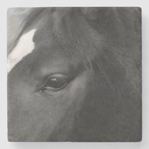 Paardencoaster Stenen Onderzetter