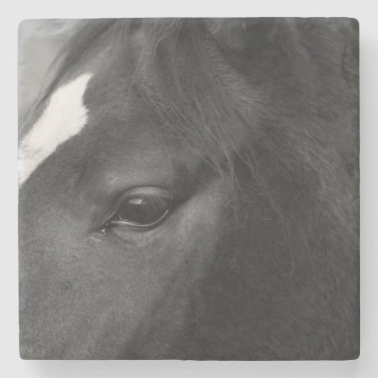 Paardencoastercan Stenen Onderzetter (Voorkant)