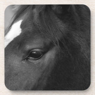 Paardencoastoor Bier Onderzetter