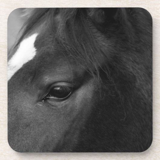 Paardencoastoor Bier Onderzetter (Voorkant)