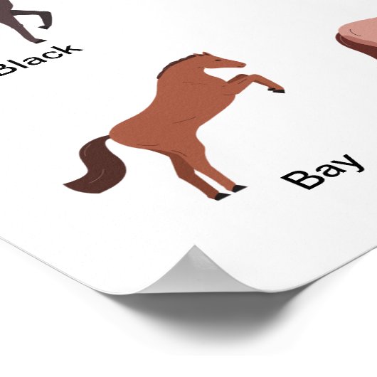 Paardencoatkleuren Poster (Hoek)