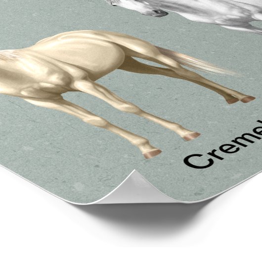 Paardencoatkleuren Poster (Hoek)