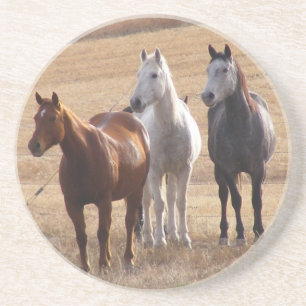 Paardencuriositeit 3 zandsteen onderzetter