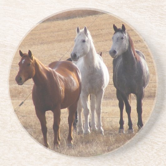Paardencuriositeit 3 zandsteen onderzetter (Voorkant)