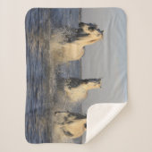 paardendedeken sherpa deken (Voorkant)